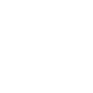 Virtual Therapia logo